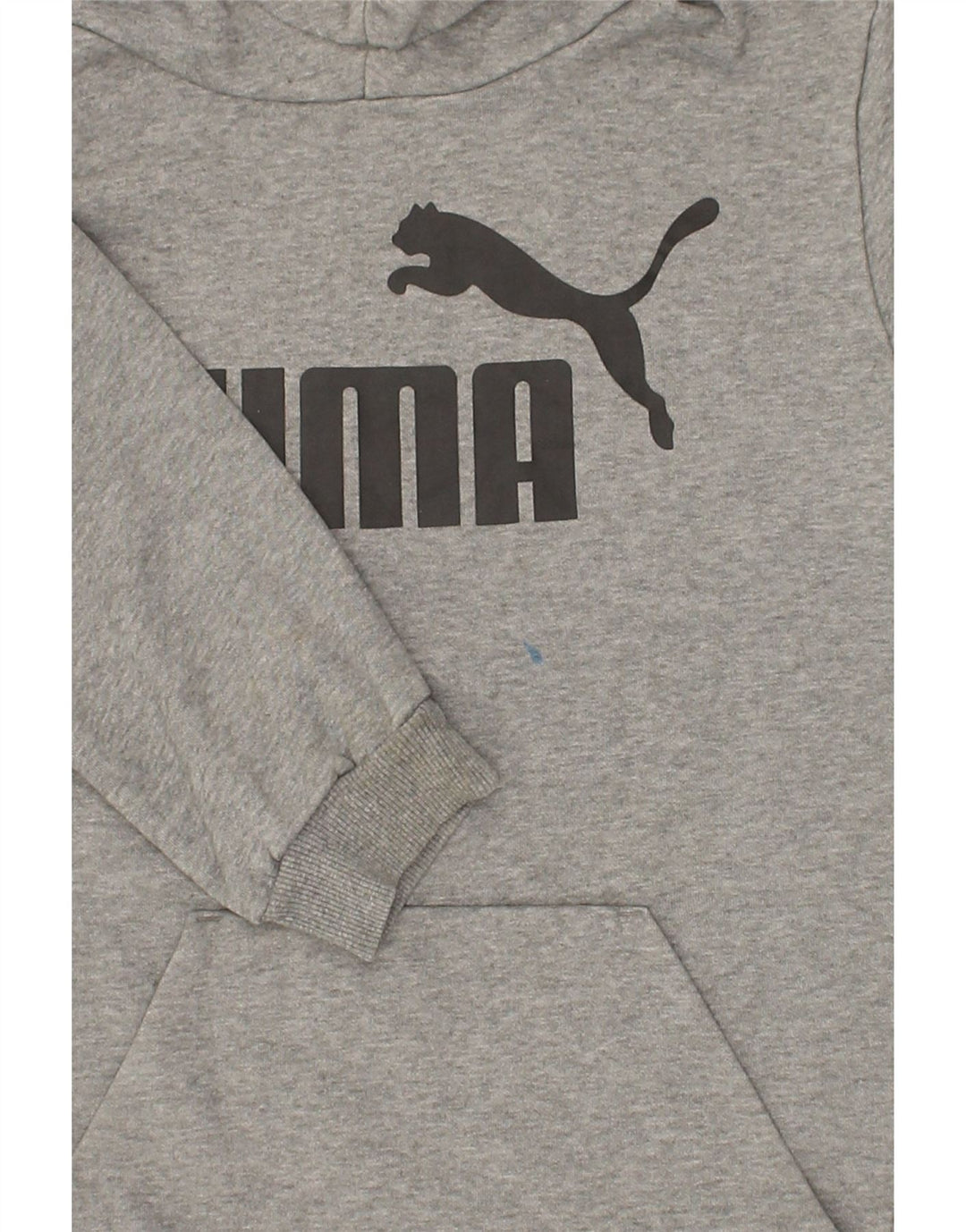 PUMA Boys Graphic Hoodie Jumper 13-14 Years Grey Cotton Vintage Puma and Second-Hand Puma from Messina Hembry 