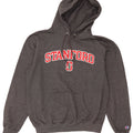 Jumper masculino com capuz gráfico Stanford da Champion, algodão cinza médio
