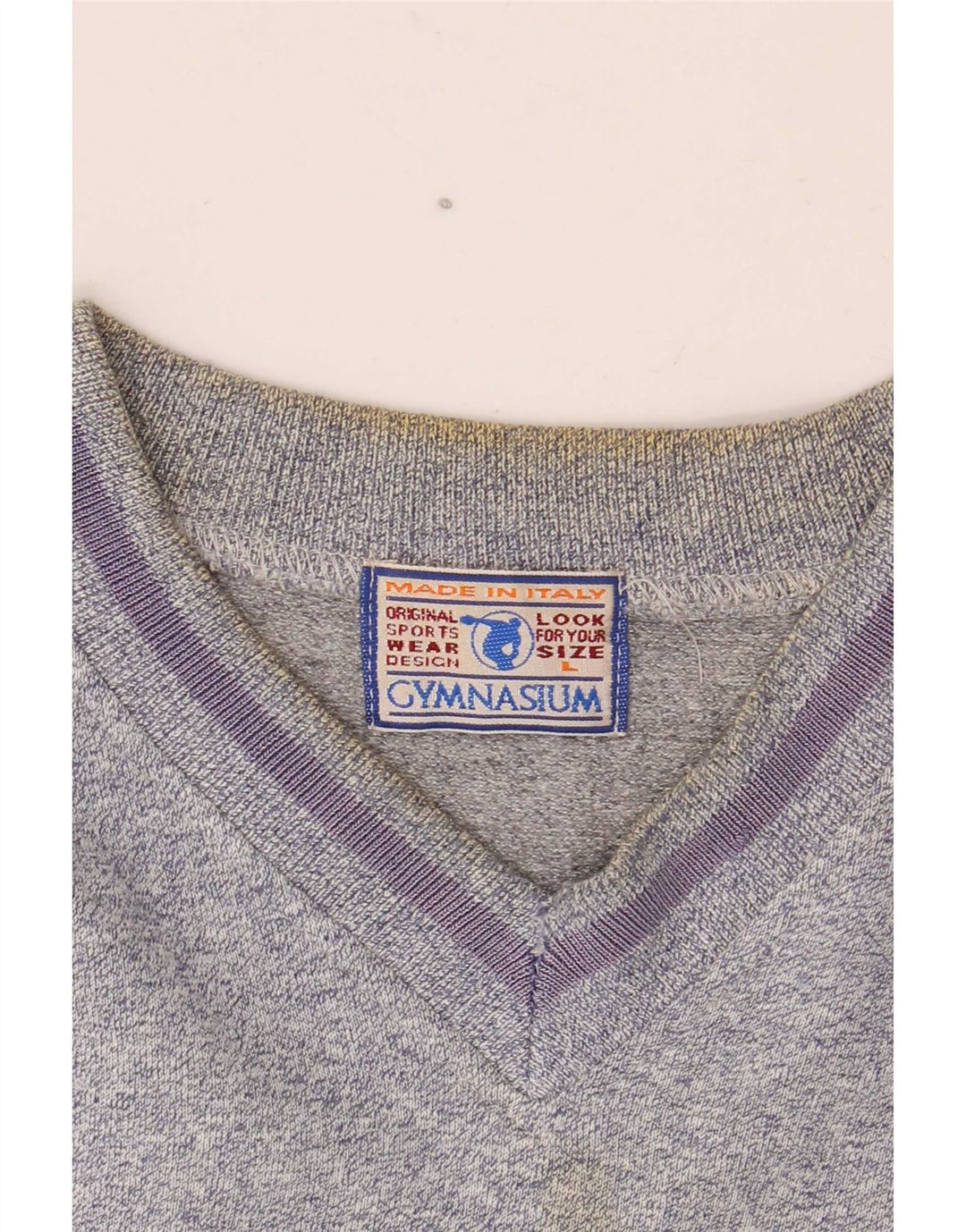 Suéter gráfico masculino Gymnasium grande bloco colorido azul
