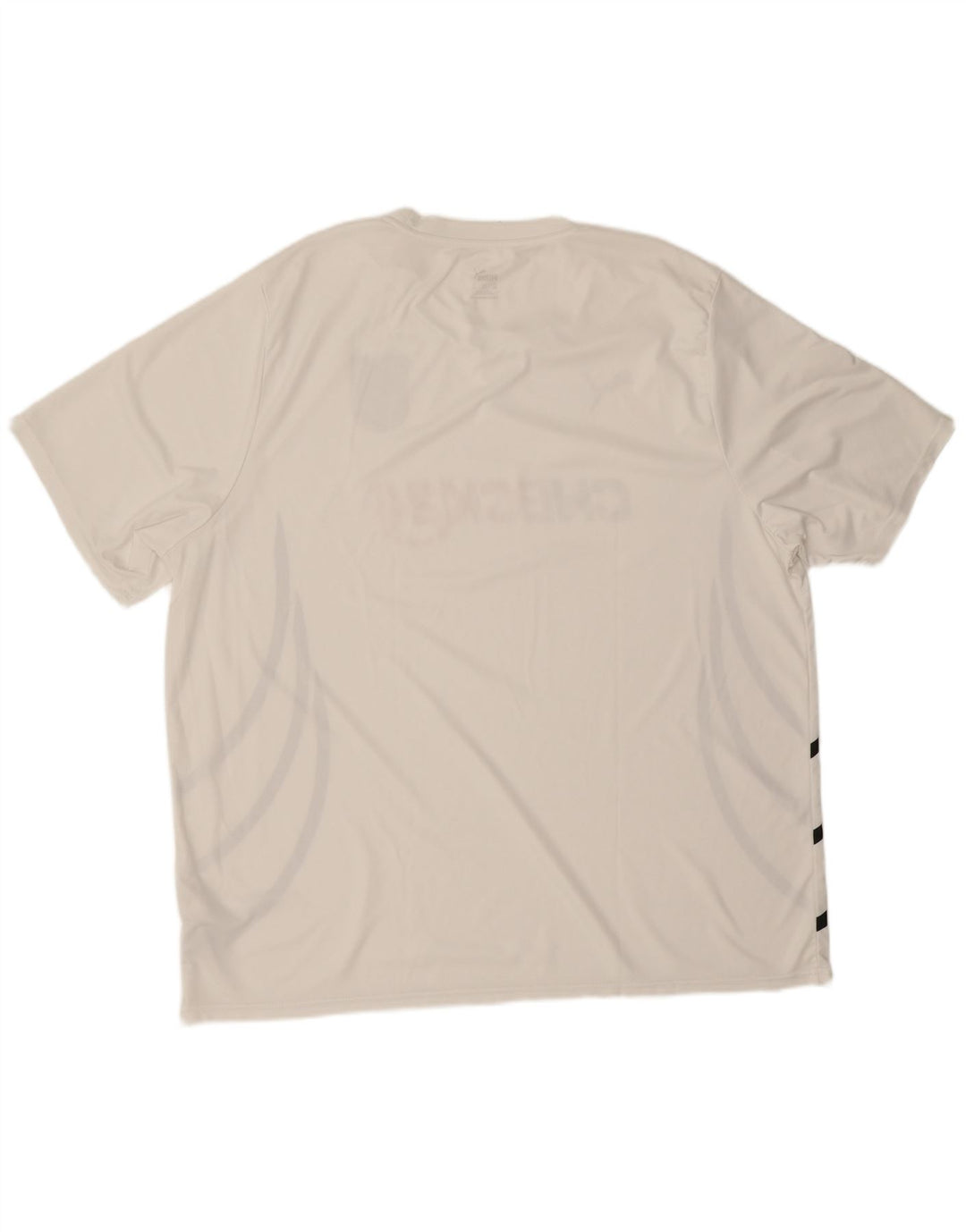 Camiseta masculina Puma Deutshland Graphic Top 3XL poliéster branco