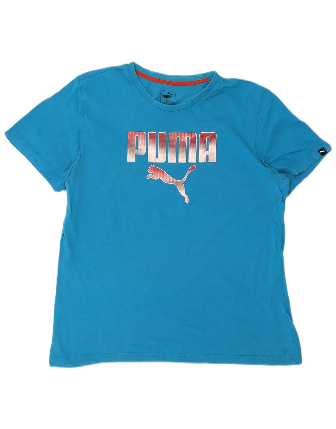 Puma Camiseta Masculina Graphic Top Grande Azul