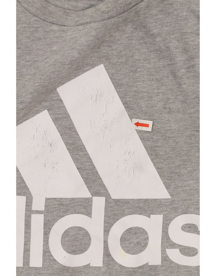Camiseta Adidas Masculina Graphic Top Grande Algodão Cinza