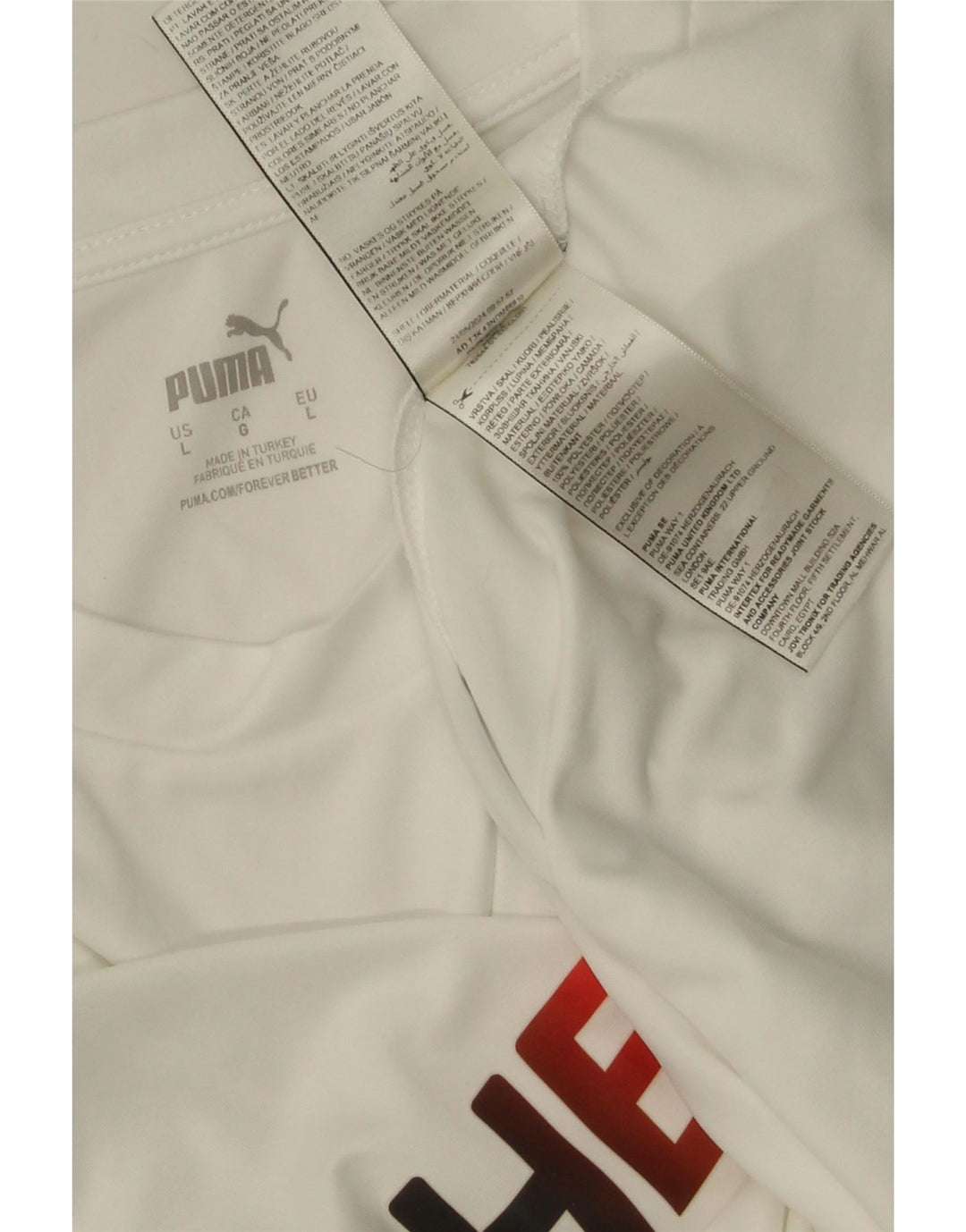 Camiseta masculina Puma Deutshland Graphic grande poliéster branco