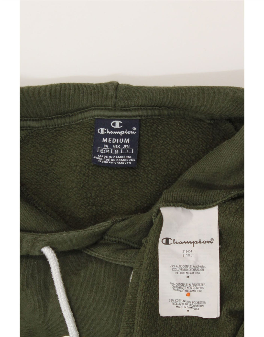 CHAMPION Mens Graphic Hoodie Jumper Medium Green Vintage Champion and Second-Hand Champion from Messina Hembry 