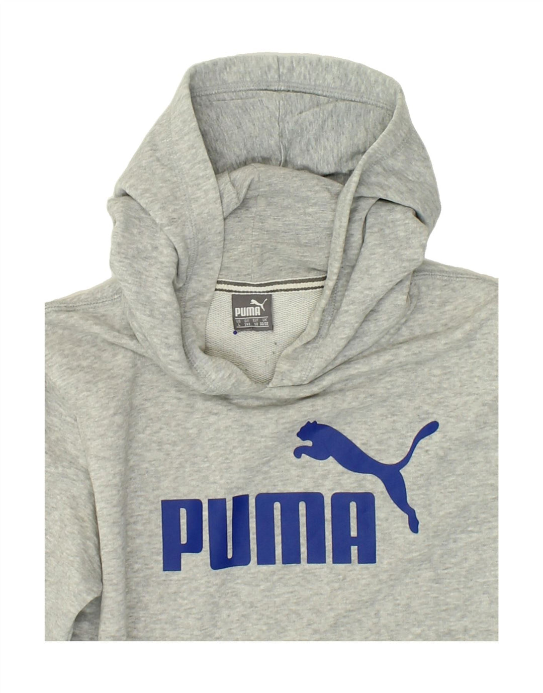 PUMA Boys Graphic Hoodie Jumper 11-12 Years Grey Cotton Vintage Puma and Second-Hand Puma from Messina Hembry 