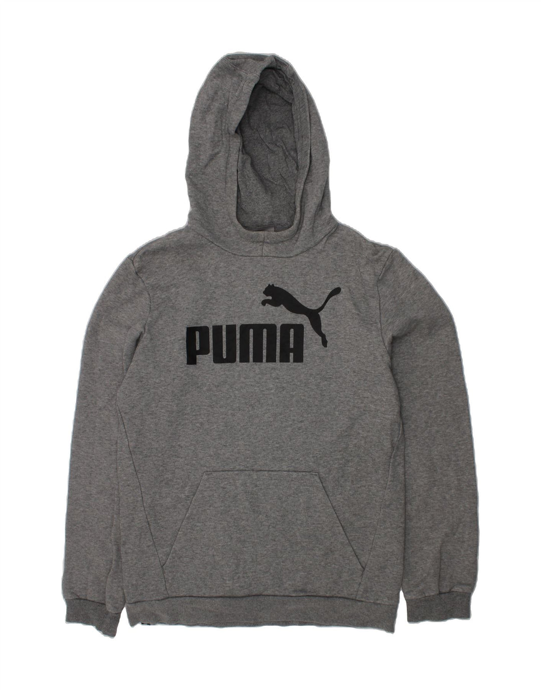 PUMA Boys Graphic Hoodie Jumper 15-16 Years  Grey Cotton Vintage Puma and Second-Hand Puma from Messina Hembry 