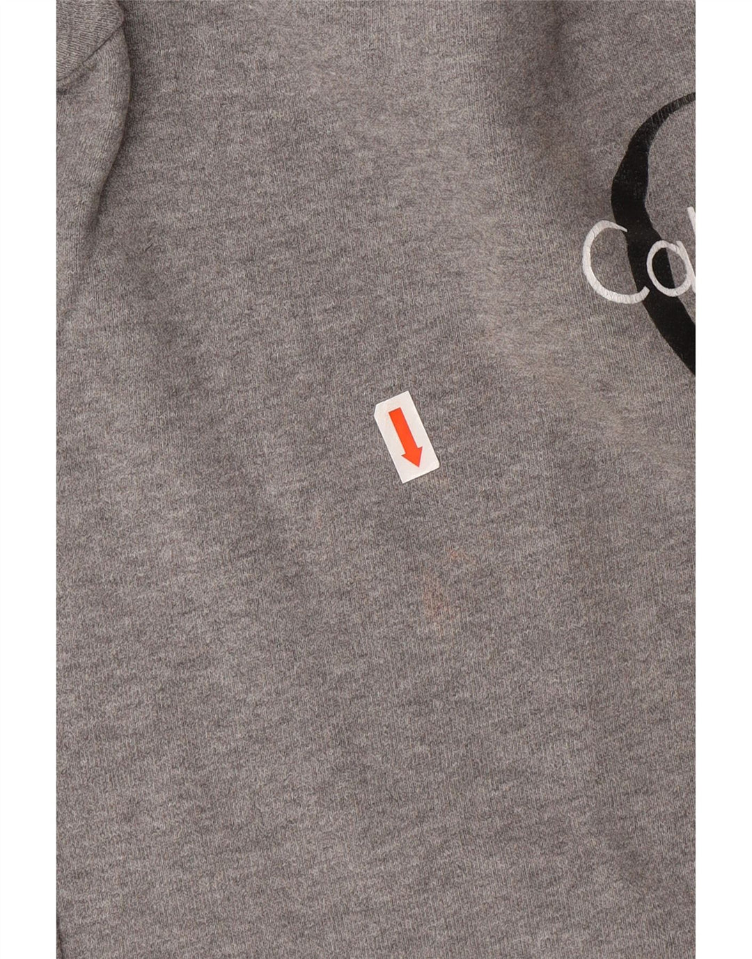 CALVIN KLEIN JEANS Suéter gráfico masculino pequeno cinza