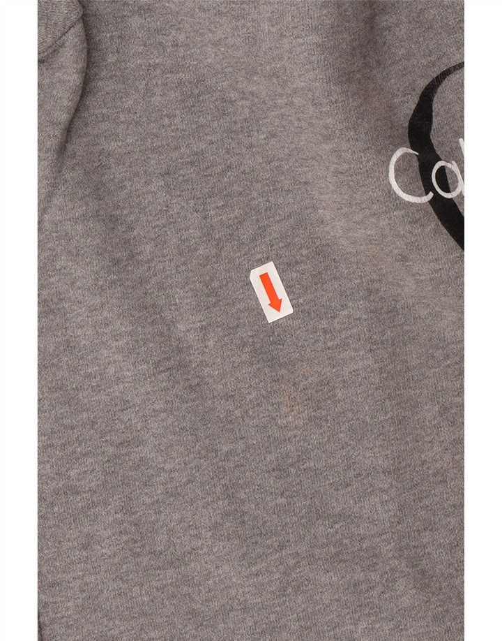 CALVIN KLEIN JEANS Suéter gráfico masculino pequeno cinza
