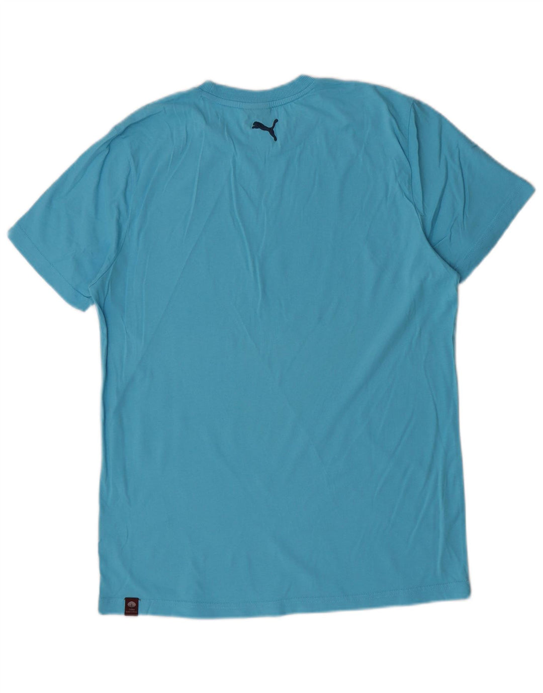 Puma Camiseta Masculina Graphic Top Grande Azul