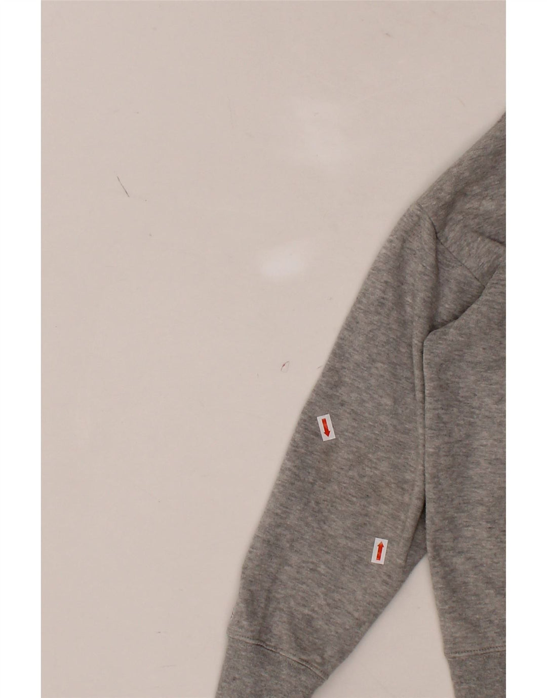 CHAMPION Boys Graphic Hoodie Jumper 7-8 Years Medium Grey Cotton Vintage Champion and Second-Hand Champion from Messina Hembry 