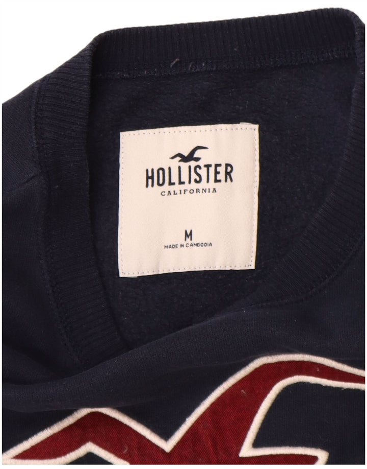 Hollister moletom masculino gráfico jumper médio algodão azul marinho