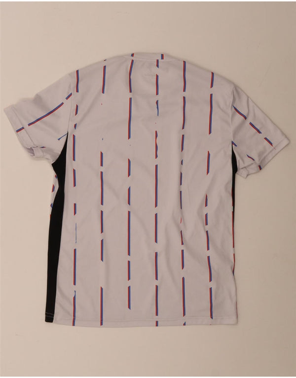 Camiseta gráfica masculina AUSTRALIAN L'ALPINA Top médio listrado branco