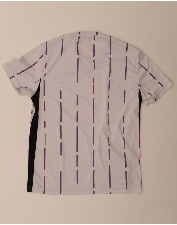 Camiseta gráfica masculina AUSTRALIAN L'ALPINA Top médio listrado branco