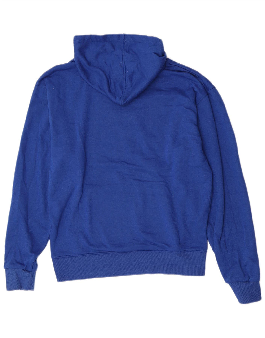 Jumper com capuz gráfico masculino Champion médio azul poliéster