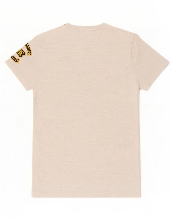 Superdry camiseta masculina gráfica top pequeno algodão manchado cinza