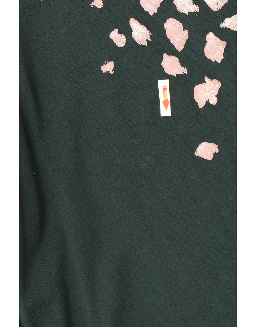 Suéter oversized feminino Oasis UK 10 com estampa animal verde pequena