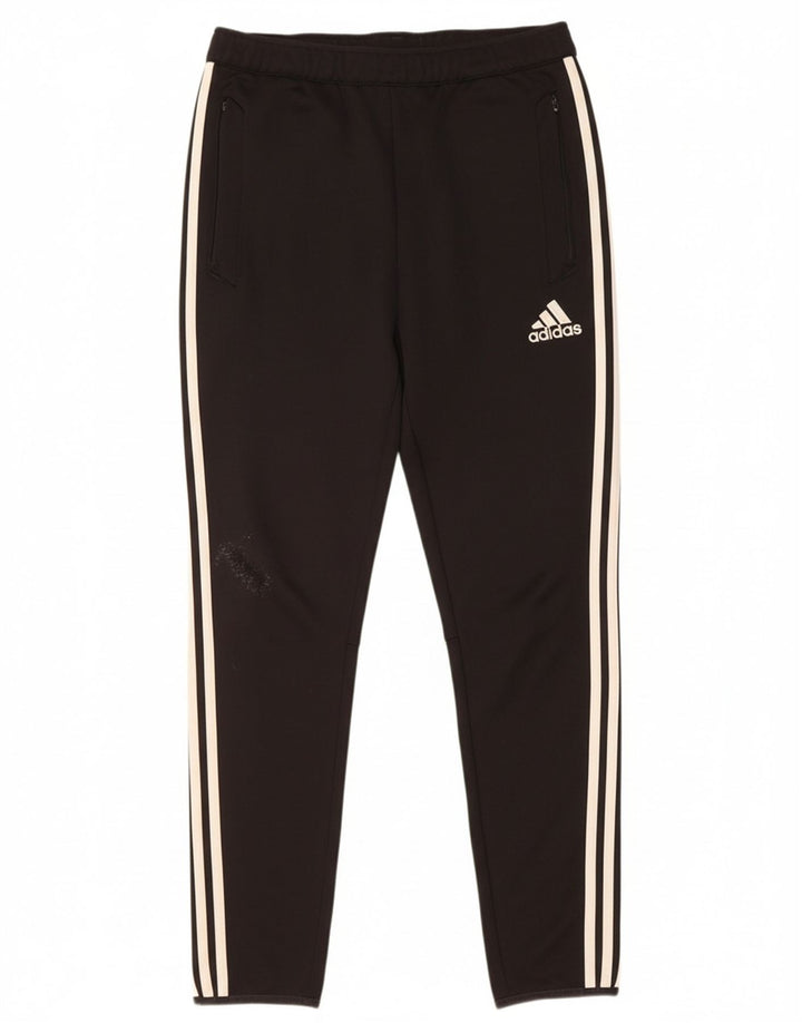 ADIDAS Mens Climacool Calças de treino Medium Black Colourblock