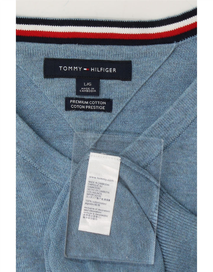 TOMMY HILFIGER Mens V-Neck Jumper Sweater Large Blue Cotton Vintage Tommy Hilfiger and Second-Hand Tommy Hilfiger from Messina Hembry 