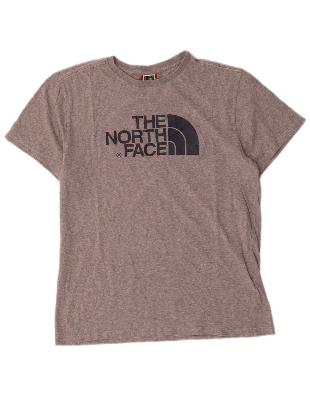 Camiseta gráfica masculina The North Face, algodão manchado cinza médio