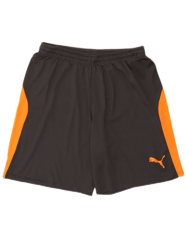 Shorts esportivos masculinos Puma médio cinza colorblock poliéster