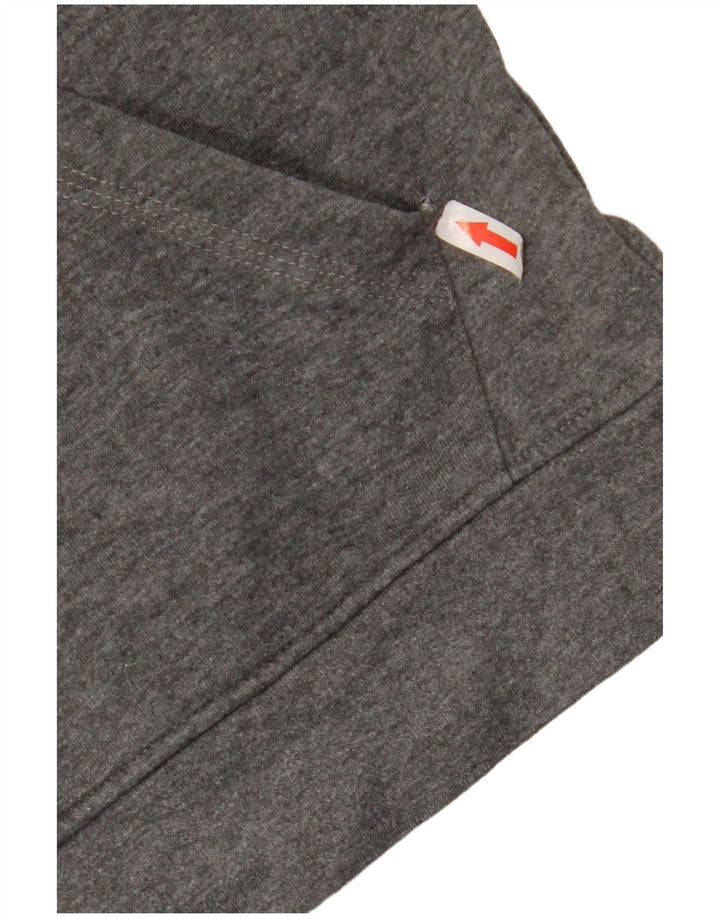 Asics Mens Graphic Hoodie Jumper Pequeno Algodão Cinza