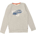 NAPAPIJRI Boys Graphic Sweatshirt Jumper 13-14 Years Grey Cotton Vintage Napapijri and Second-Hand Napapijri from Messina Hembry 