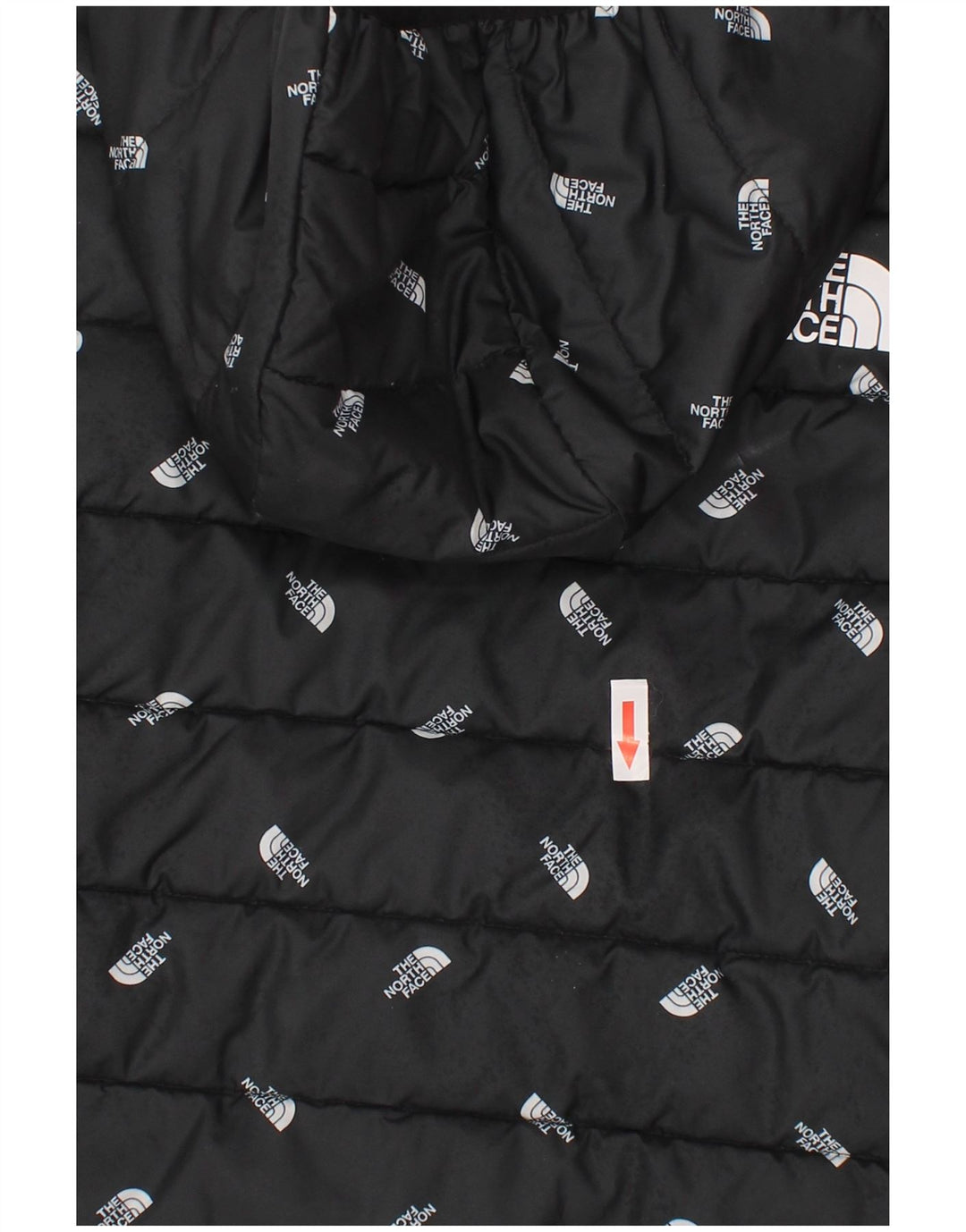 Jaqueta acolchoada com capuz gráfico The North Face Boys 9-10 anos médio preto