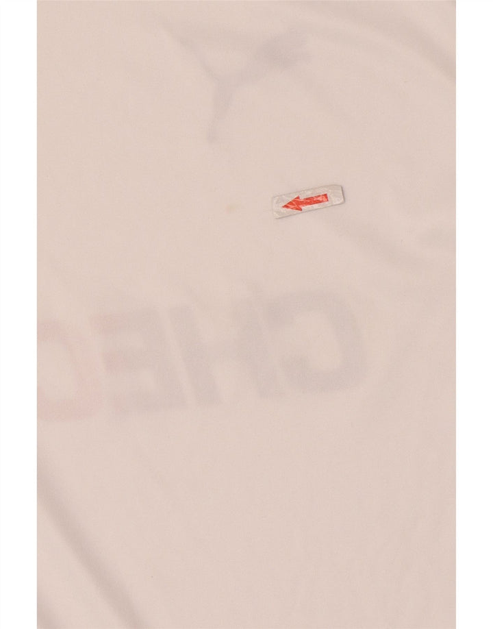 Camiseta masculina Puma Deutshland Graphic top pequeno branco colorblock poliéster