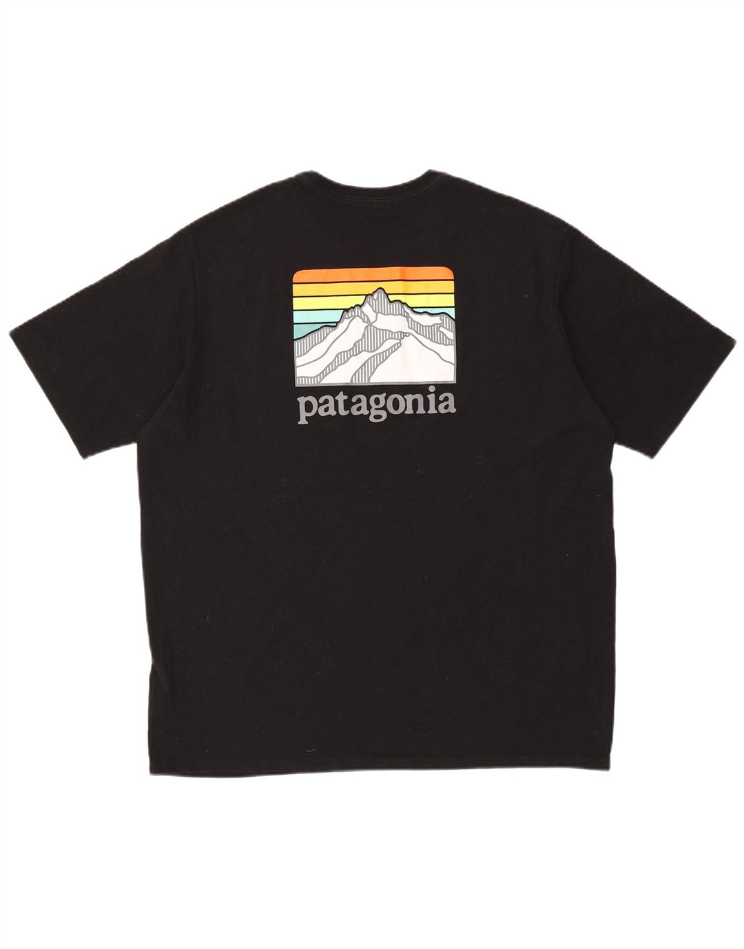 Camiseta masculina PATAGONIA com ajuste regular e estampa gráfica grande de algodão preto
