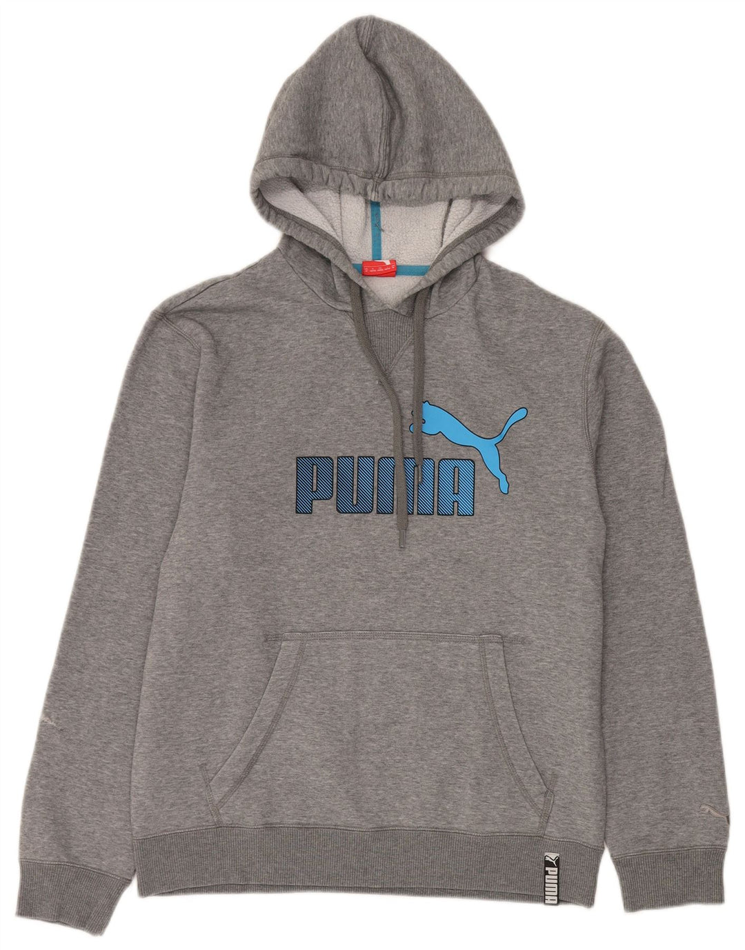Puma masculino gráfico moletom com capuz cinza médio