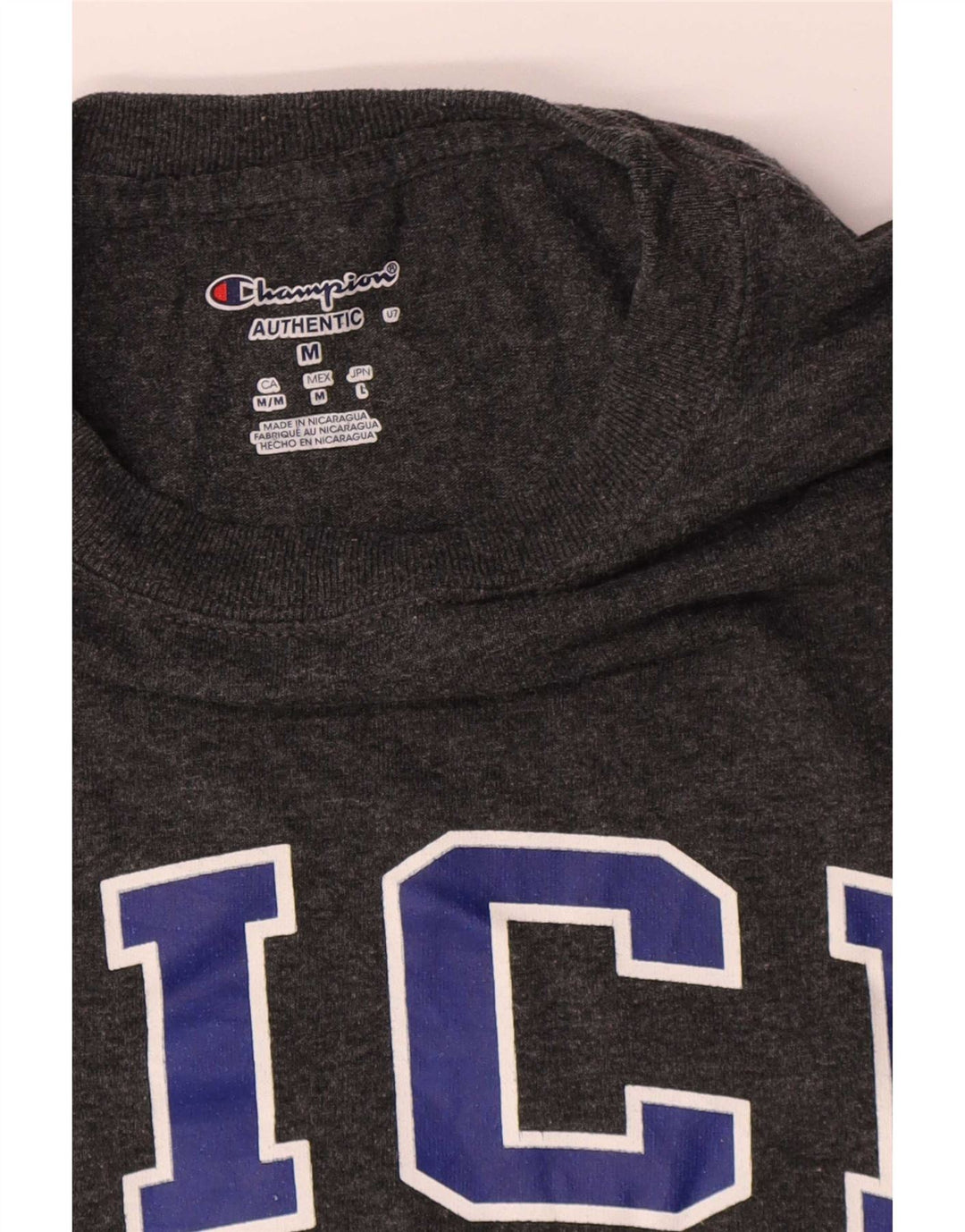 Camiseta masculina Champion Rice University com estampa gráfica de algodão cinza médio