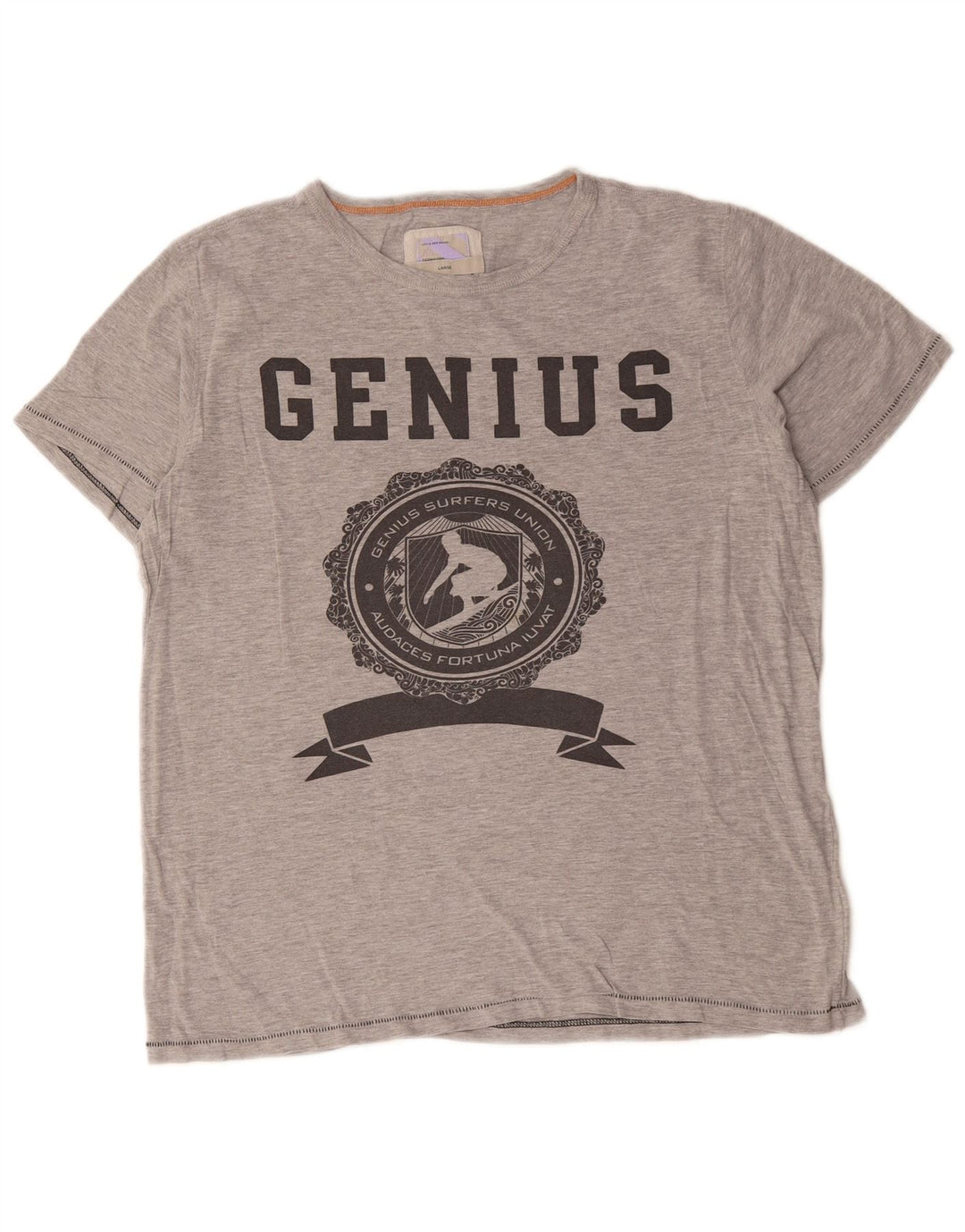 Camiseta gráfica masculina Fat Face Top grande algodão manchado cinza