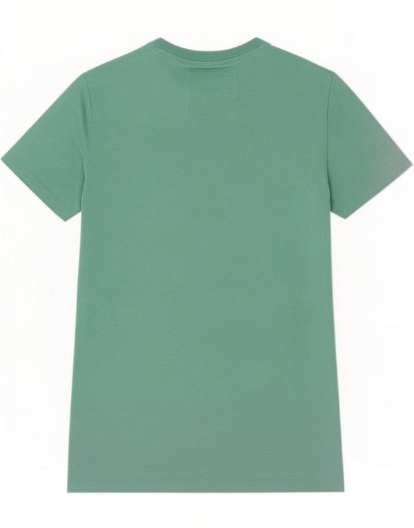 Superdry Camiseta masculina gráfica top pequeno algodão verde