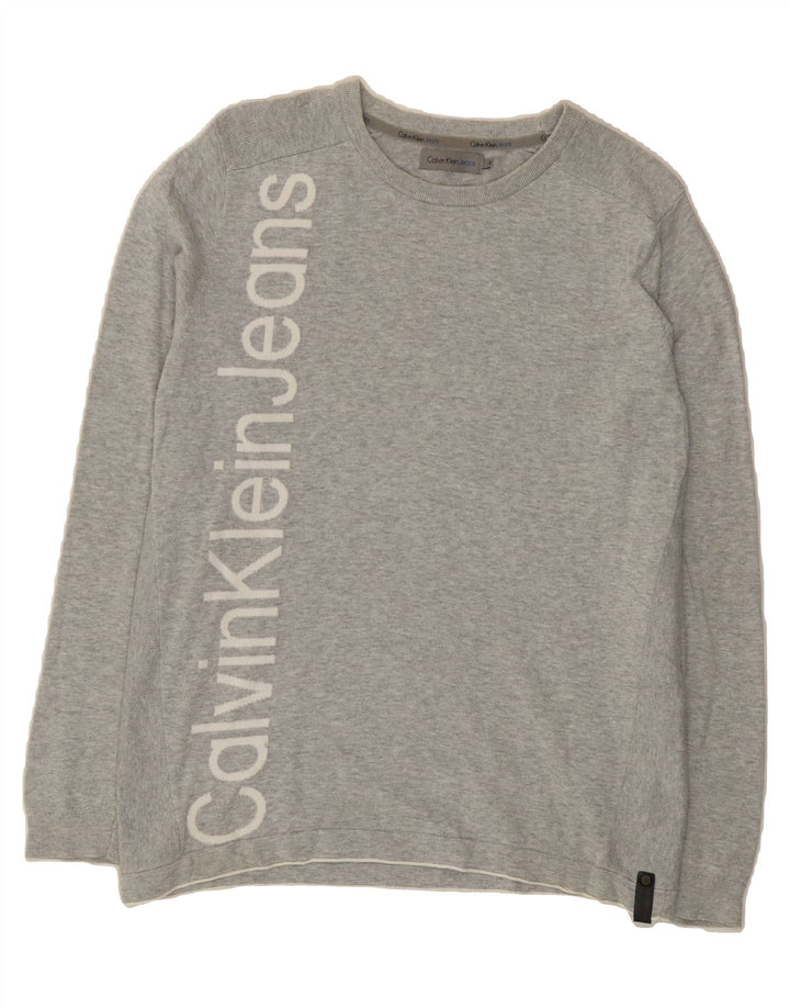 CALVIN KLEIN Mens Graphic Crew Neck Jumper Sweater Medium Grey Cotton Vintage Calvin Klein and Second-Hand Calvin Klein from Messina Hembry 