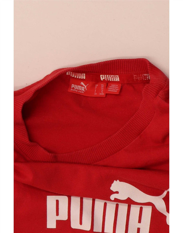 Camiseta Puma Meninos Graphic 15-16 Anos Vermelho