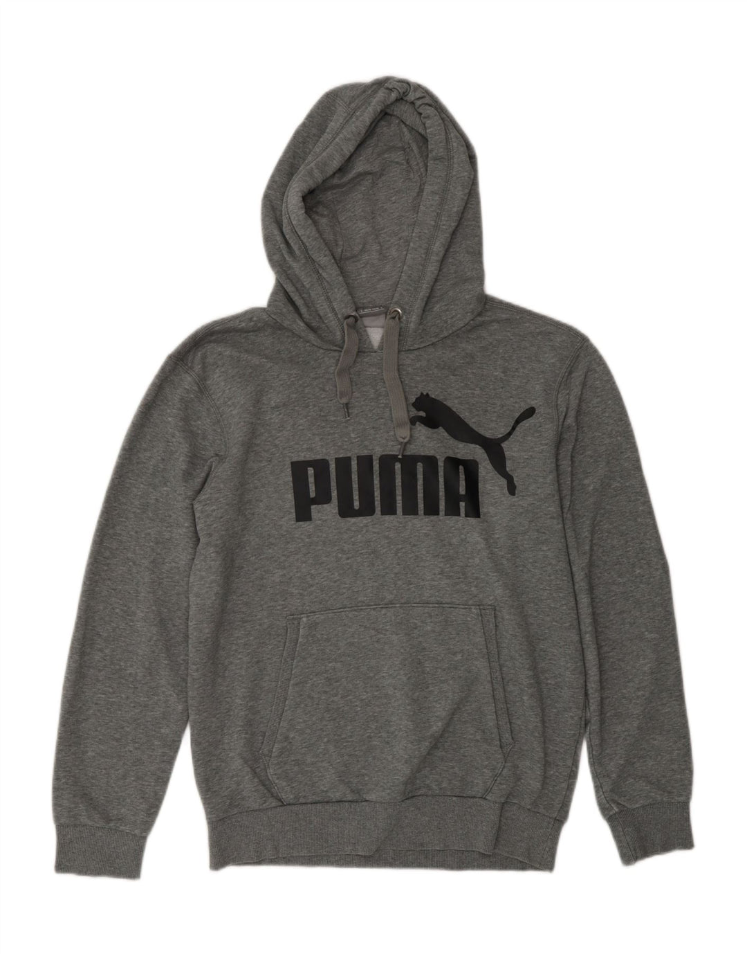 PUMA masculino gráfico moletom com capuz pequeno poliéster manchado cinza
