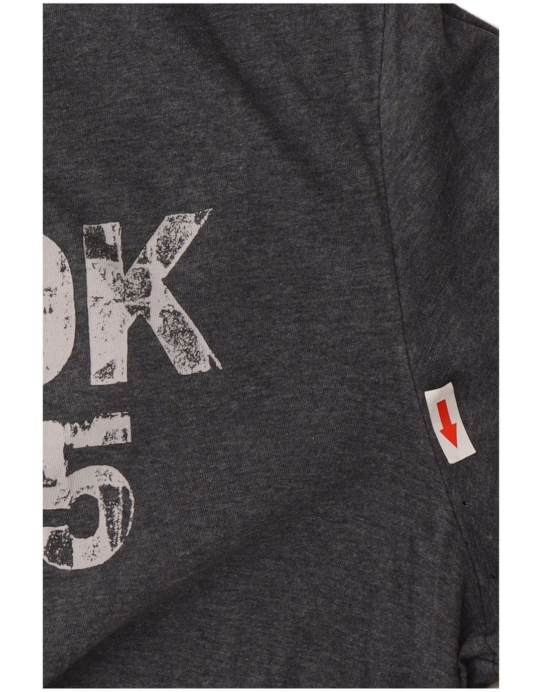 Reebok Camiseta Masculina Graphic Top Grande Cinza