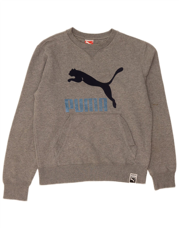 Puma masculino gráfico moletom jumper médio cinza manchado