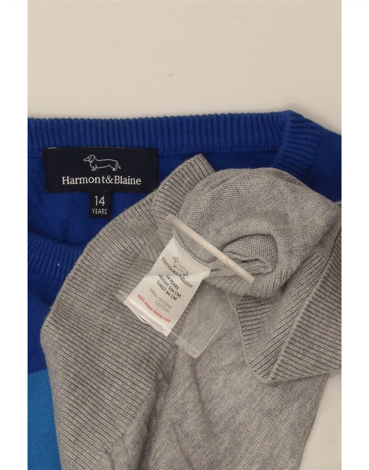 Suéter masculino HARMONT & BLAINE com gola redonda 13-14 anos multicolorido