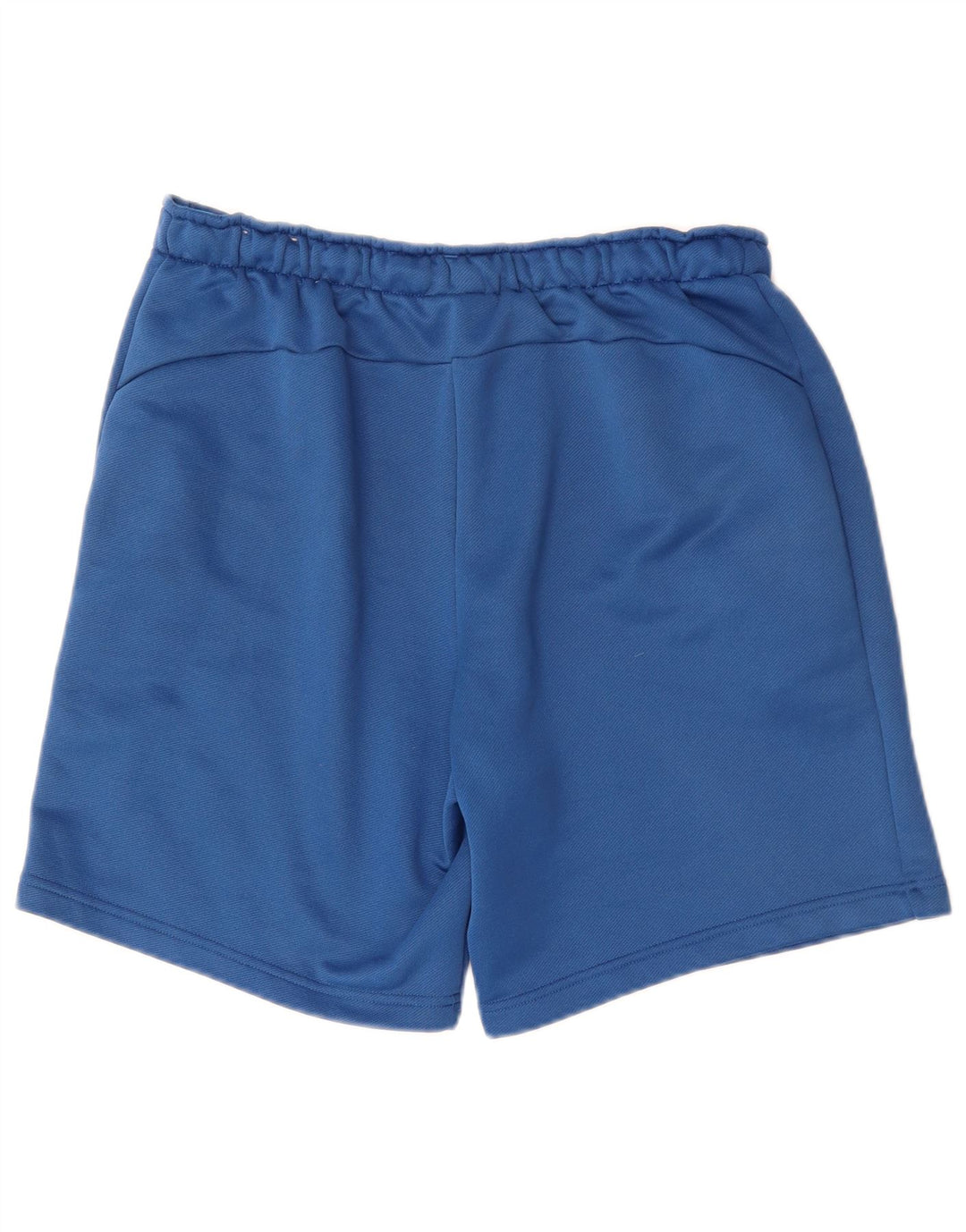 Shorts esportivos gráficos masculinos Puma grandes azuis