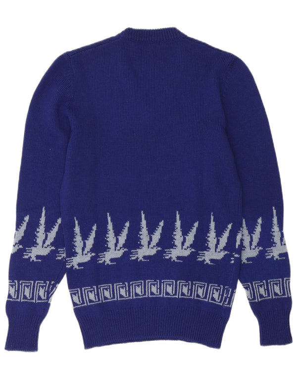 Suéter masculino vintage com decote em V pequeno azul Fair Isle