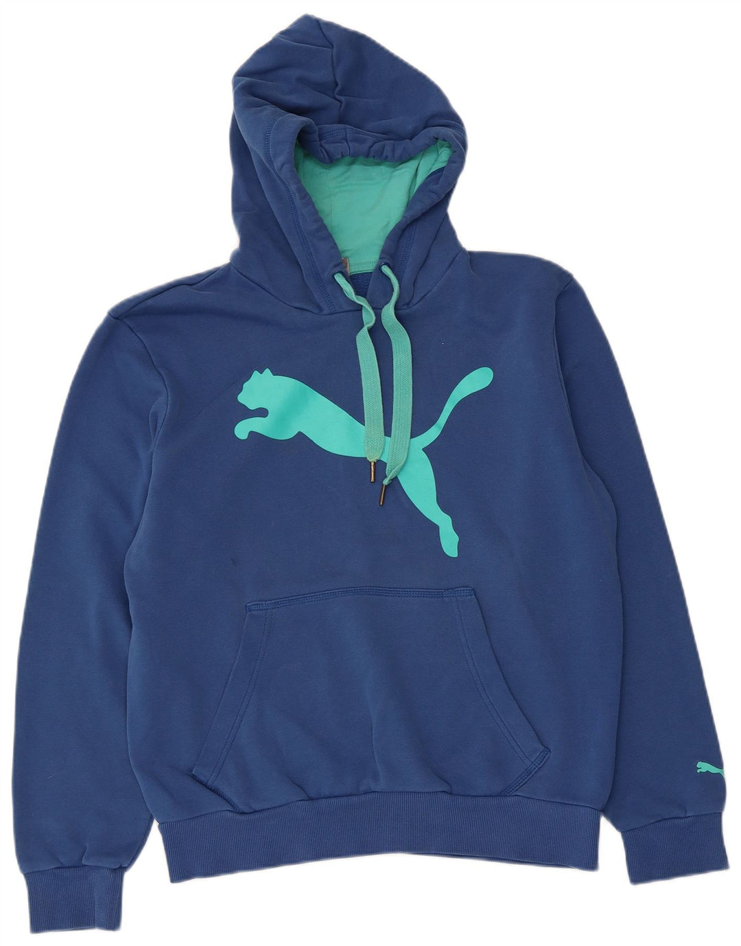Puma masculino gráfico moletom com capuz pequeno algodão azul