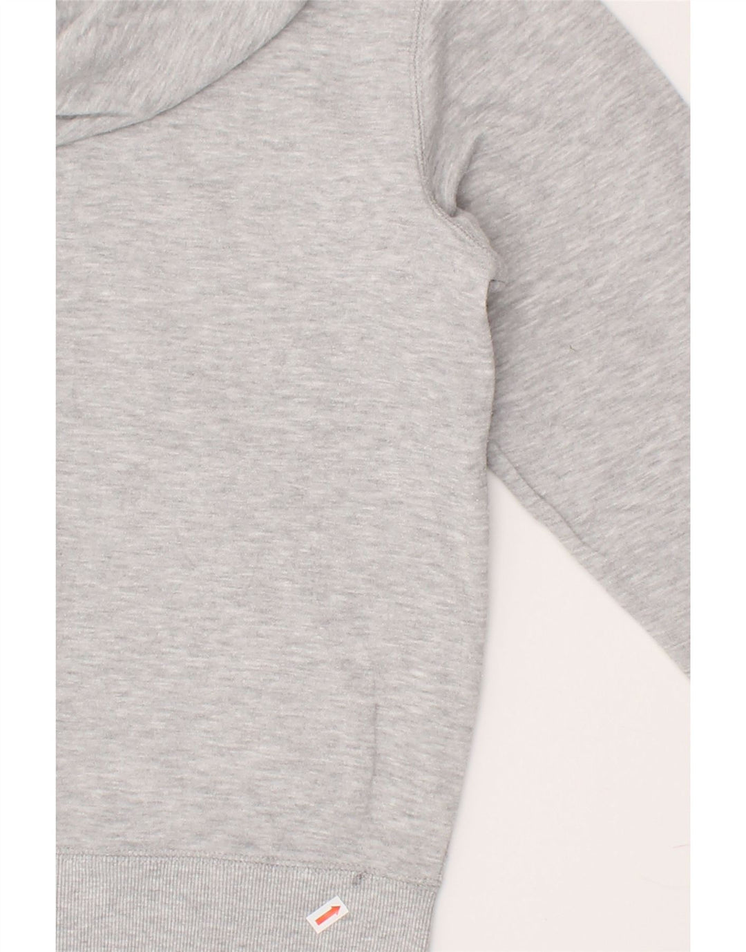 CHAMPION Womens Graphic Hoodie Jumper UK 18 XL Grey Cotton Vintage Champion and Second-Hand Champion from Messina Hembry 