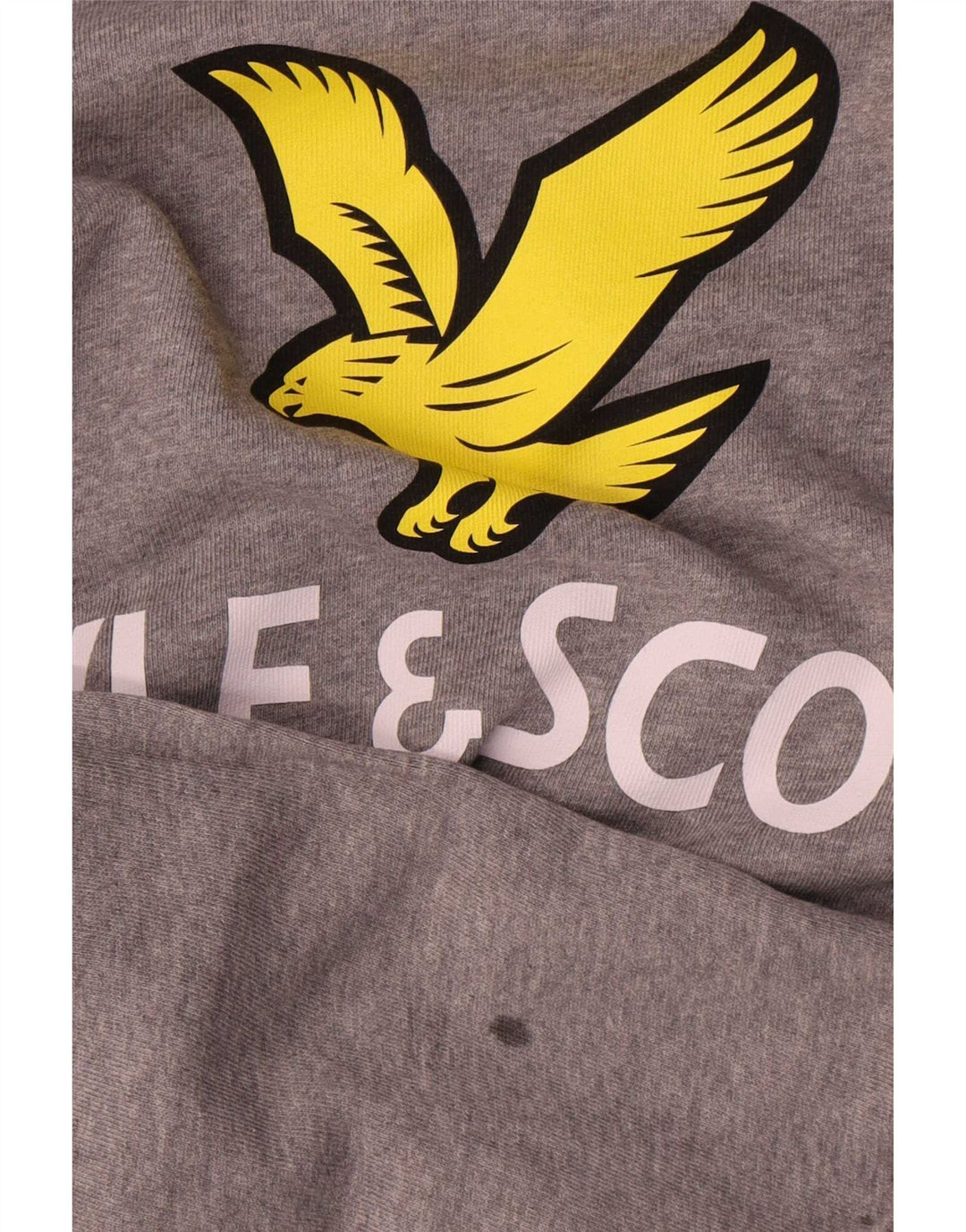 Moletom gráfico Lyle & Scott Boys 12-13 anos cinza manchado