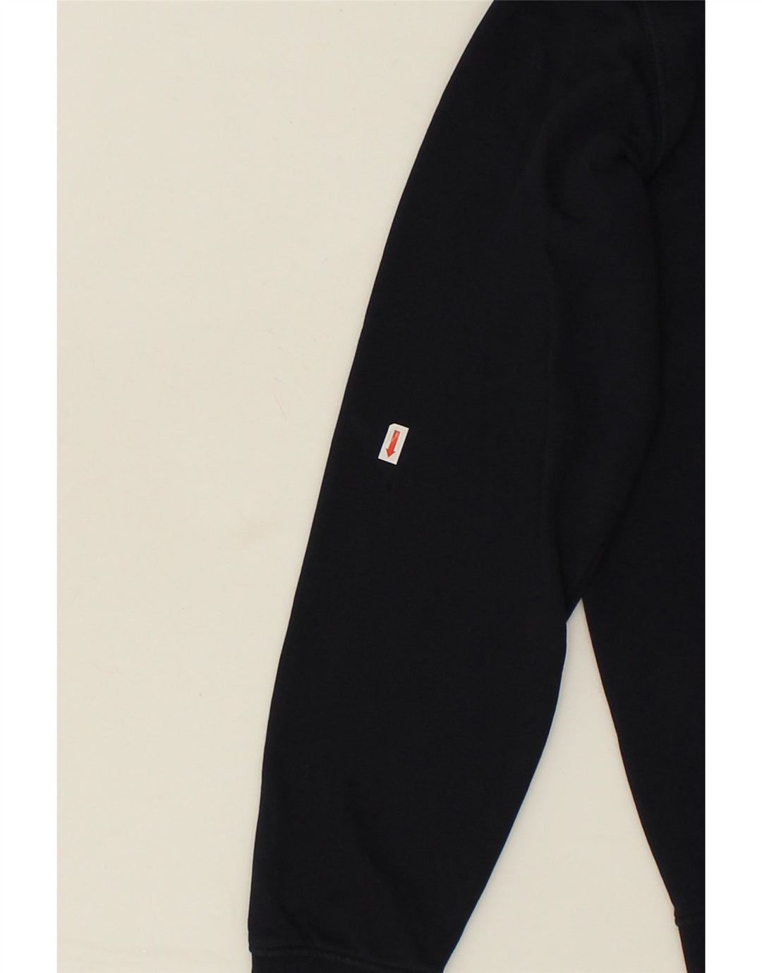 CHAMPION Mens Graphic Hoodie Jumper Small Navy Blue Cotton Vintage Champion and Second-Hand Champion from Messina Hembry 