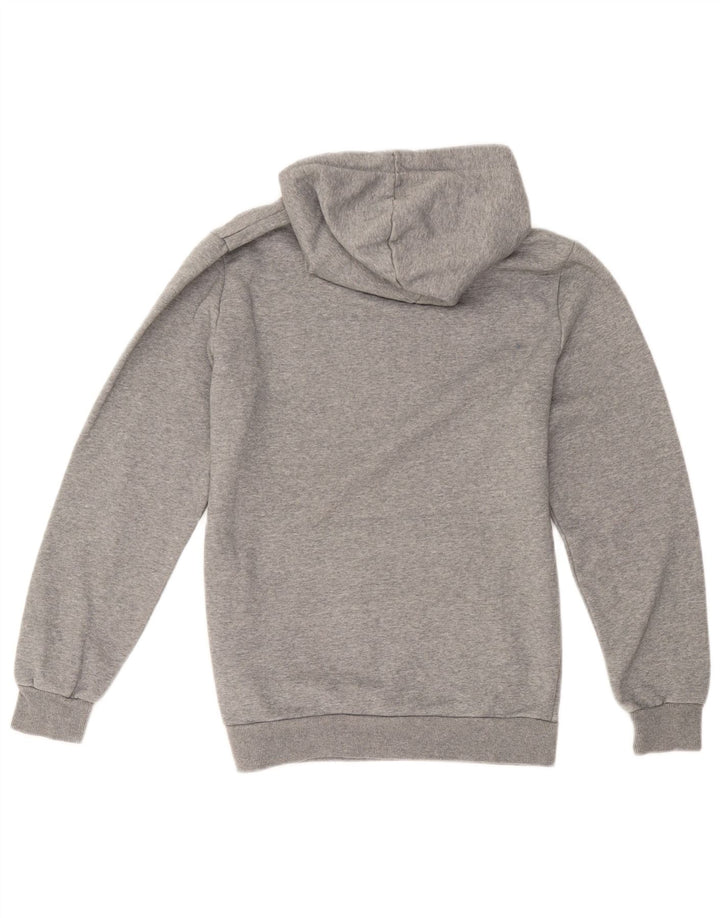 Puma masculino gráfico moletom com capuz pequeno algodão cinza