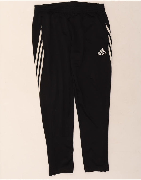 Calça Adidas Mens Treino XL Preto Poliéster