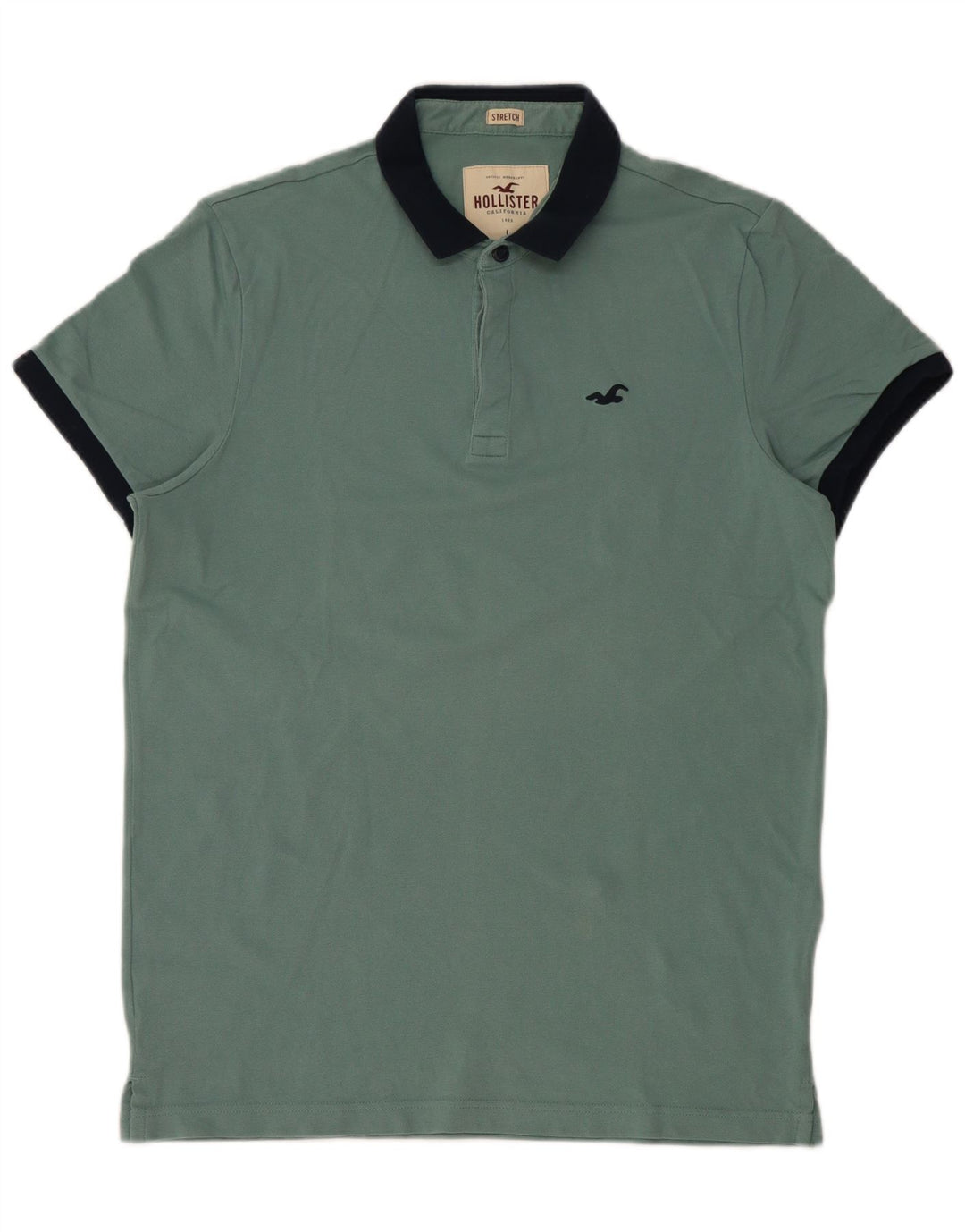Camisa polo masculina HOLLISTER grande verde