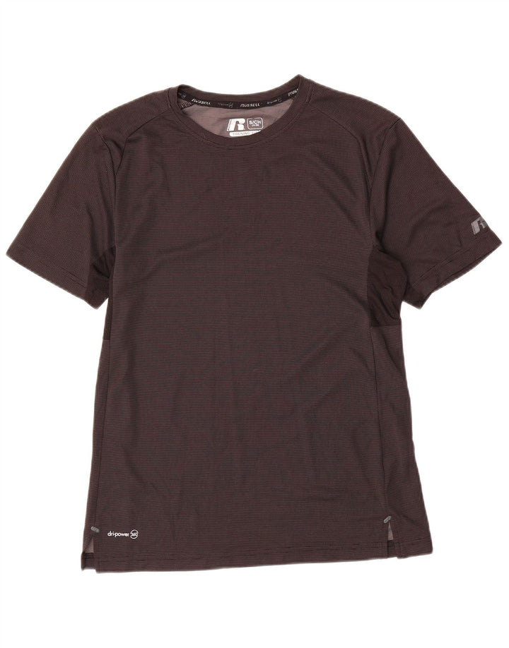 RUSSELL ATHLETIC Mens Dri-Power T-Shirt Top Small Grey Pinstripe