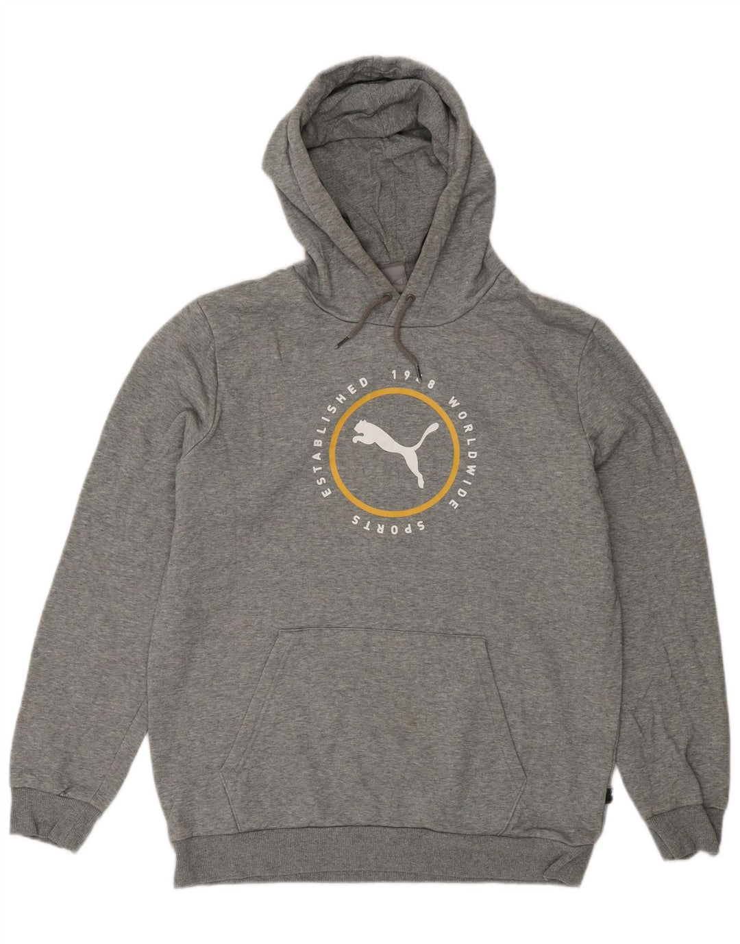 PUMA Mens Graphic Hoodie Jumper Médio Algodão Cinza